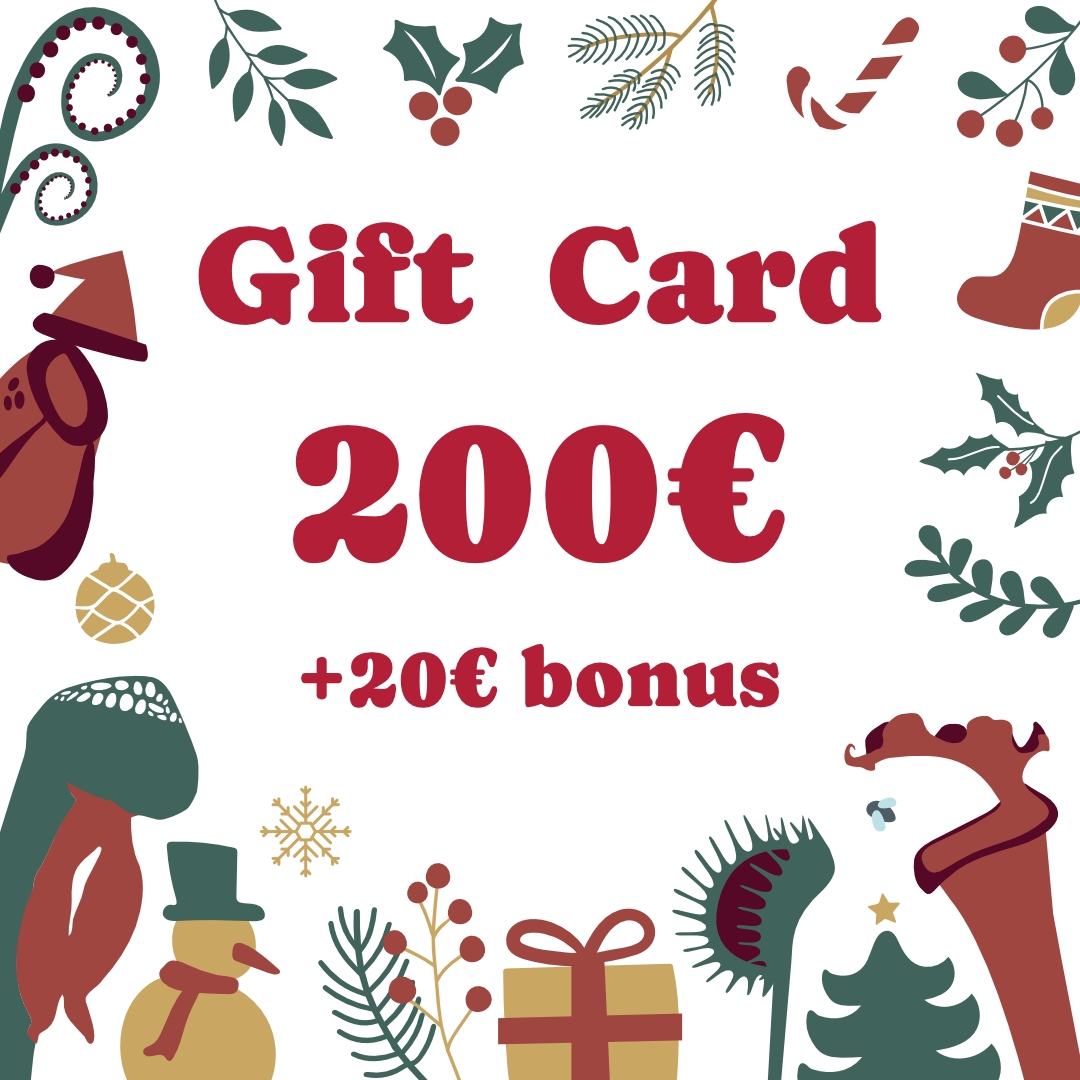 gift card 200