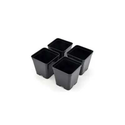 Black square pot (7x7x8 cm)