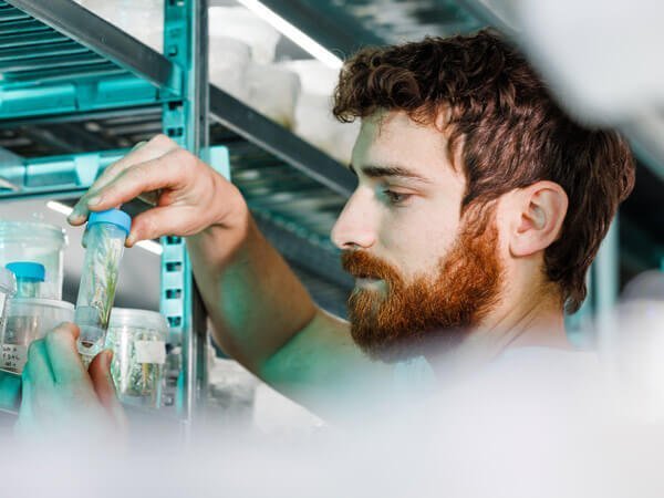 Diflora Micropropagation labortory