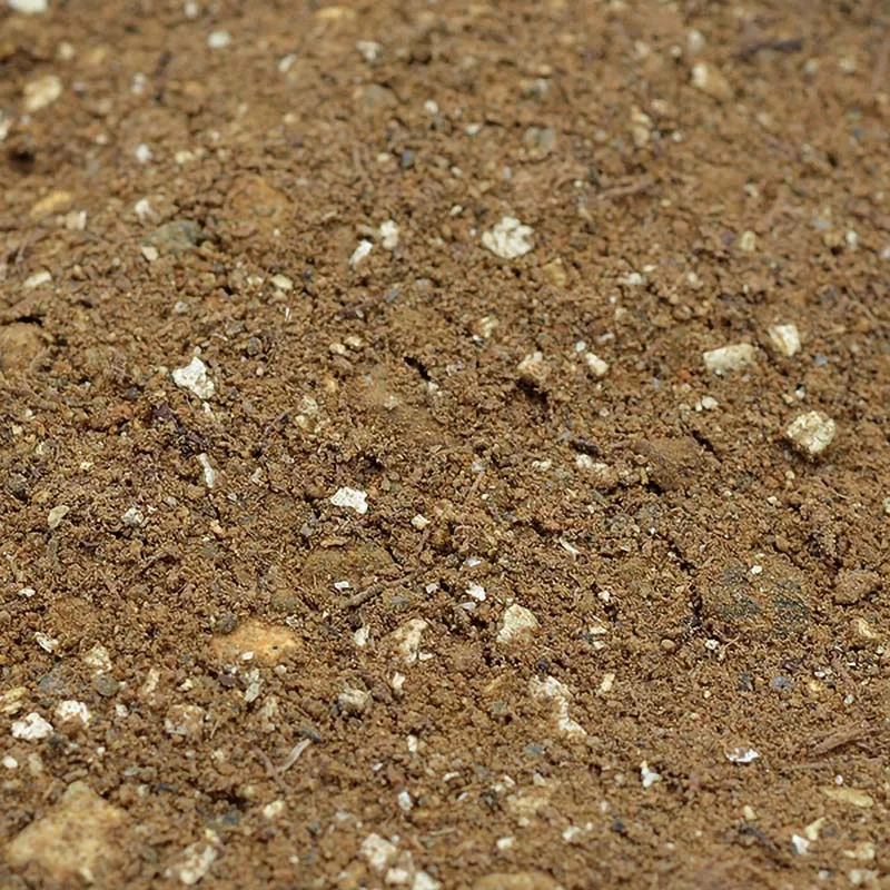 Substrate for Pinguicula (premium)
