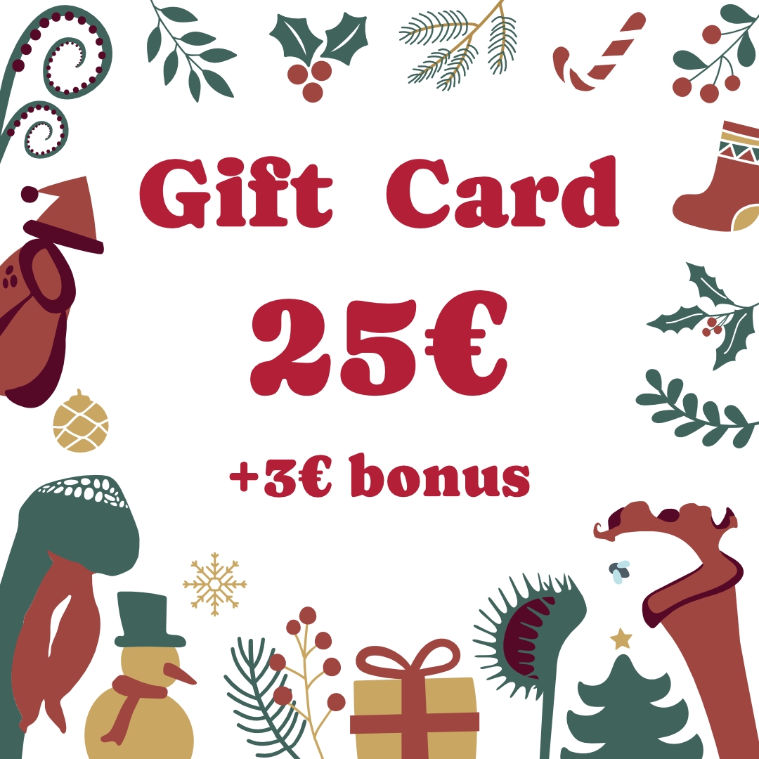 Christmas Gift Card €25 + €3 Free Bonus