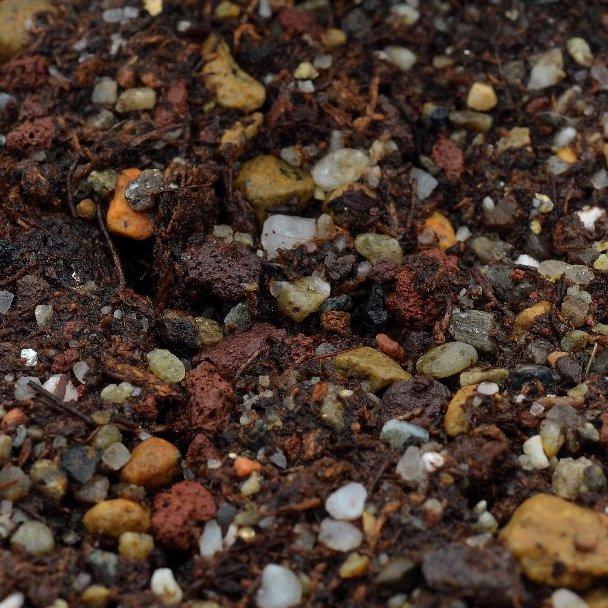 Mineral substrate for Drosera