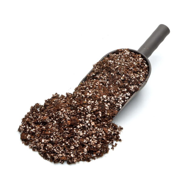 Substrate for Drosera