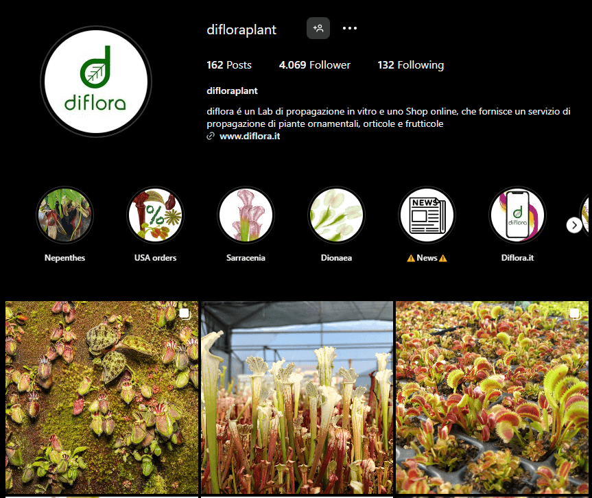 Diflora Instagram Account