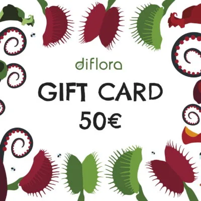 Gift Card 50