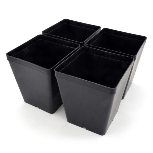 Black square pot (14x14x16 cm)