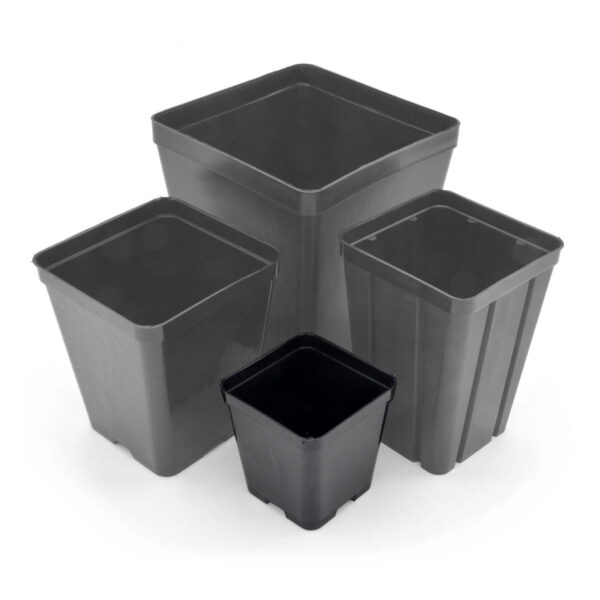 quadrato nero 7x7