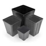 Black square pot (14x14x16 cm)
