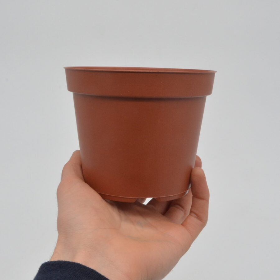 Vaso tondo (Ø 12 cm)